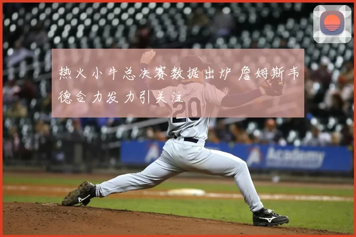 热火小牛总决赛数据出炉 詹姆斯韦德合力发力引关注