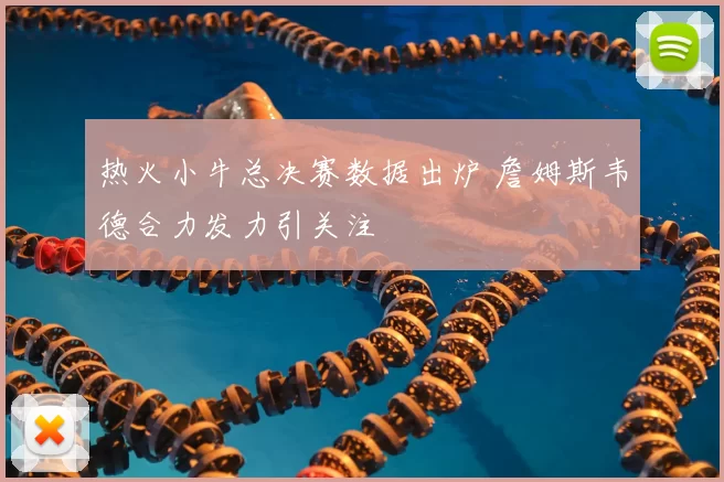 热火小牛总决赛数据出炉 詹姆斯韦德合力发力引关注