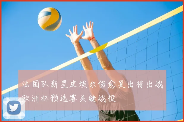法国队新星皮埃尔伤愈复出将出战欧洲杯预选赛关键战役