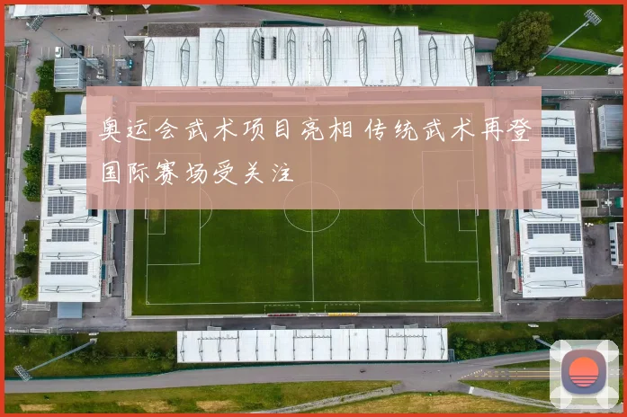 奥运会武术项目亮相 传统武术再登国际赛场受关注