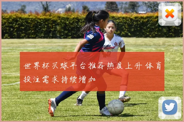 世界杯买球平台推荐热度上升 体育投注需求持续增加
